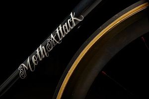 Картинка статьи Moth Attack Cycles Track Bike