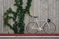 Велосипед State Bicycle Montecore